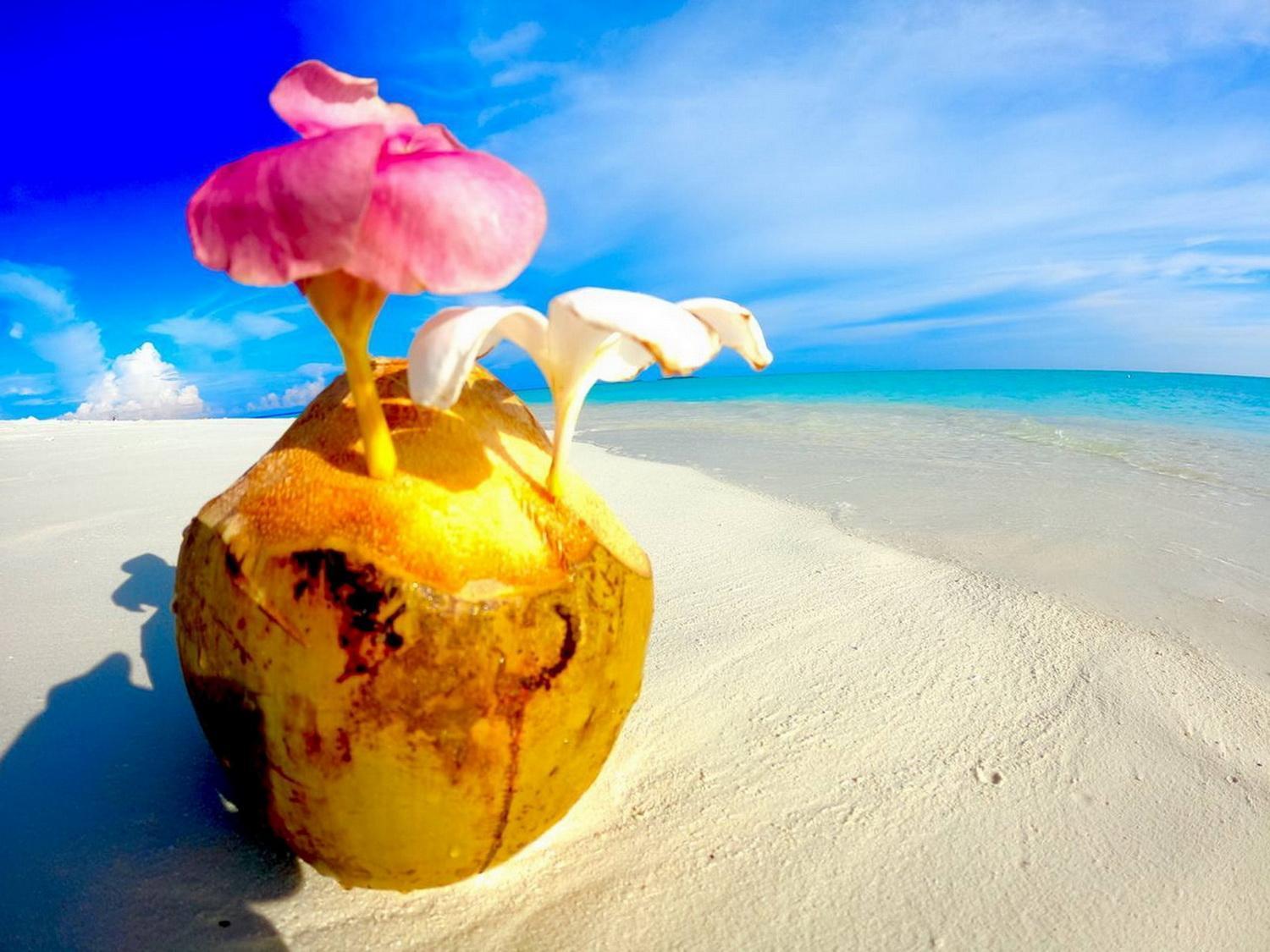 Wind Breeze Sunset View Inn Guraidhoo  Luaran gambar