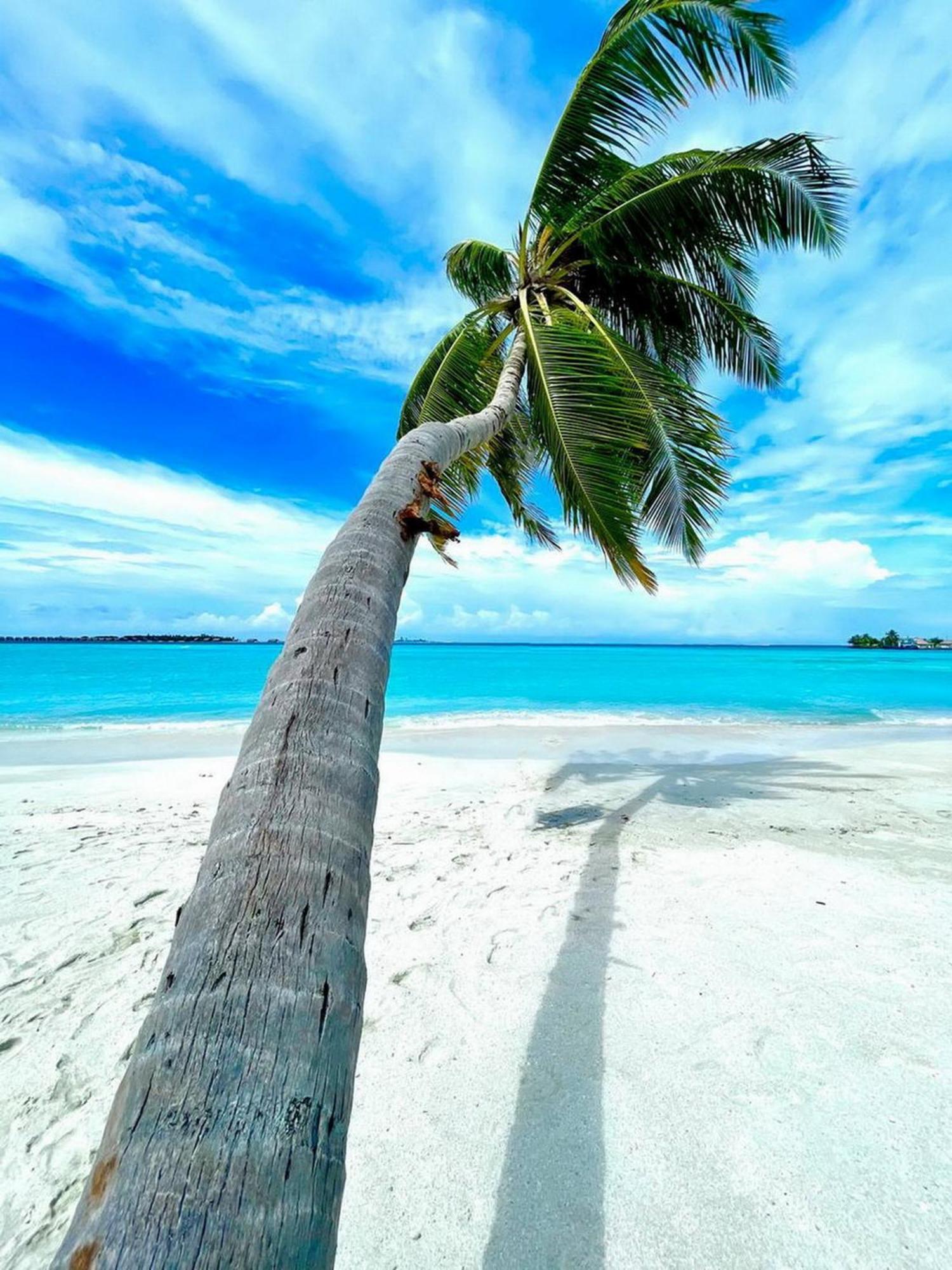 Wind Breeze Sunset View Inn Guraidhoo  Luaran gambar